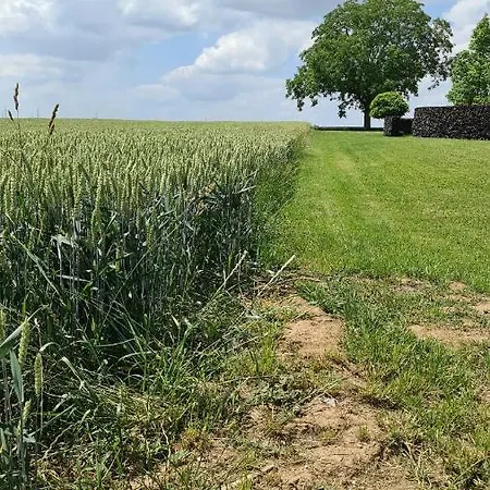 Du Plantis
